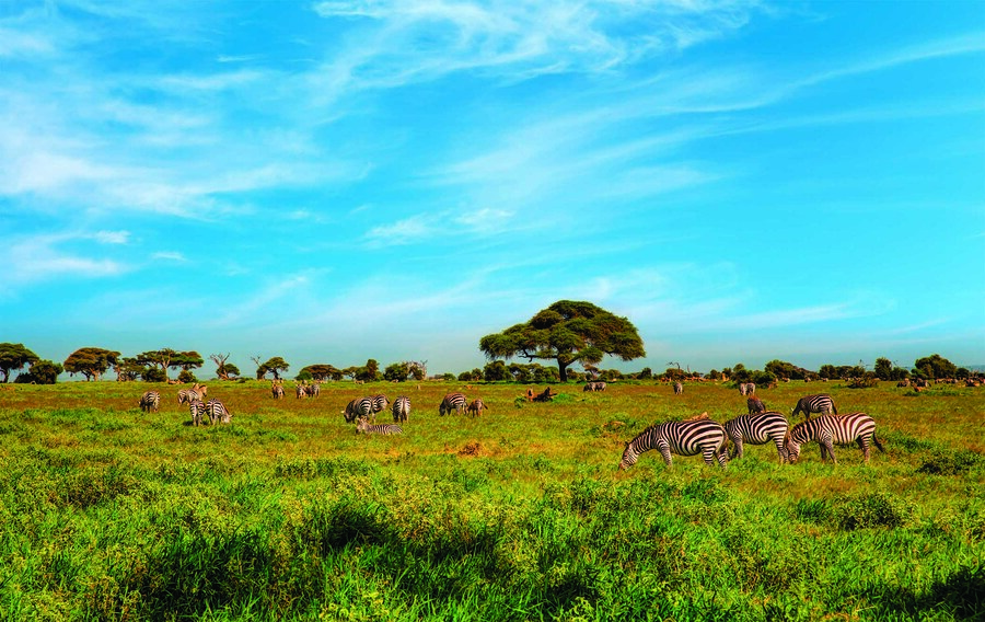 Africa at Your Fingertips Amboseli, Tanzania and Zanzibar Tanzania and Zanzibar Tours